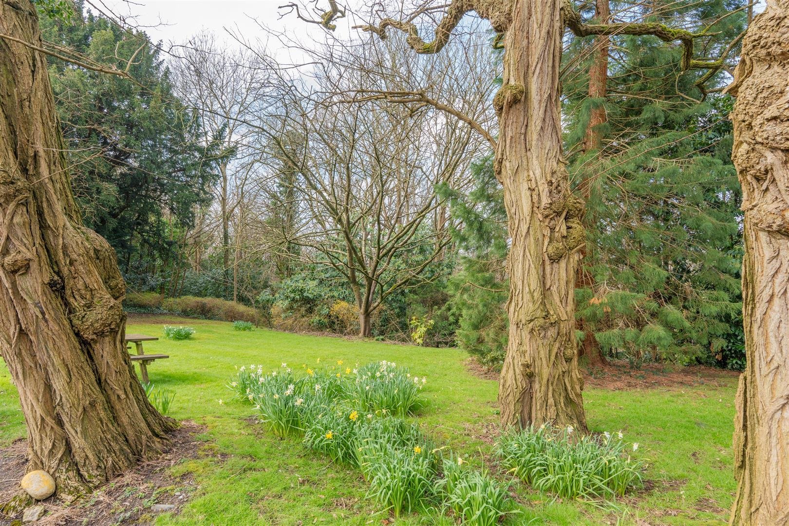 Cleeve wood road downend 32970144 dsc05990