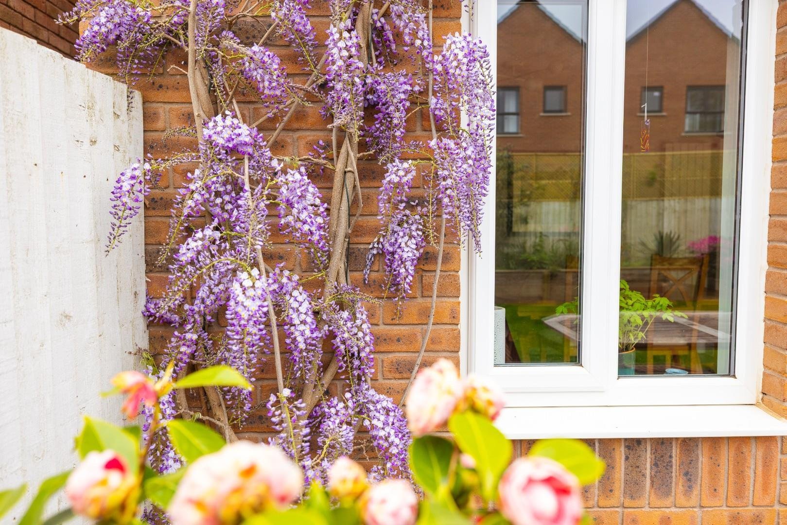 Hermitage wood road cheswick village 34623483 char0231