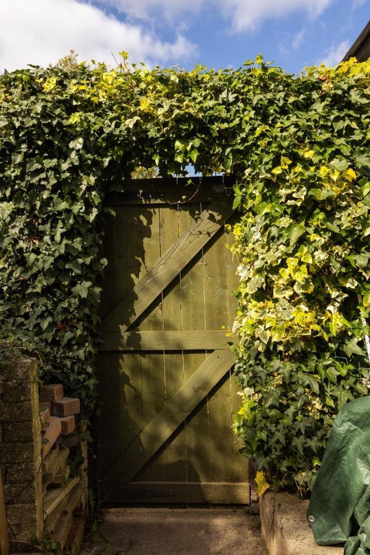 Holly close speedwell 34606013 char9626