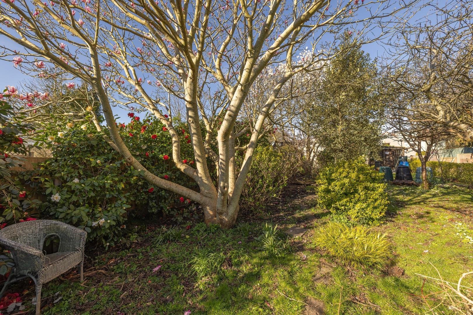 Kennard road kingswood 34595620 char8609