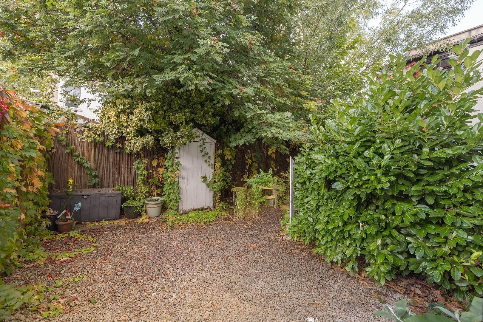 Walter street southville 34237320 014 a0280