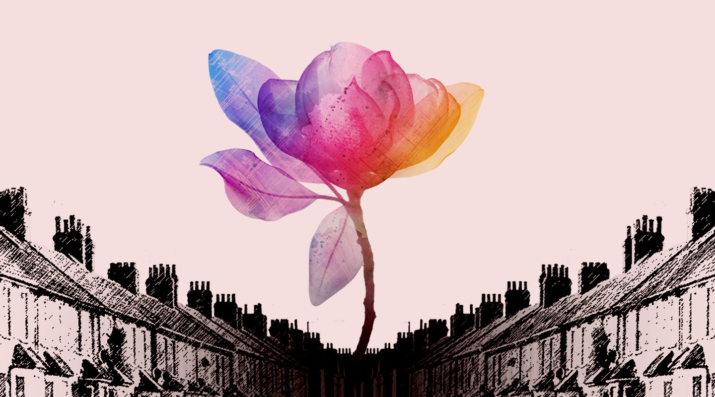 Magnolia Hero