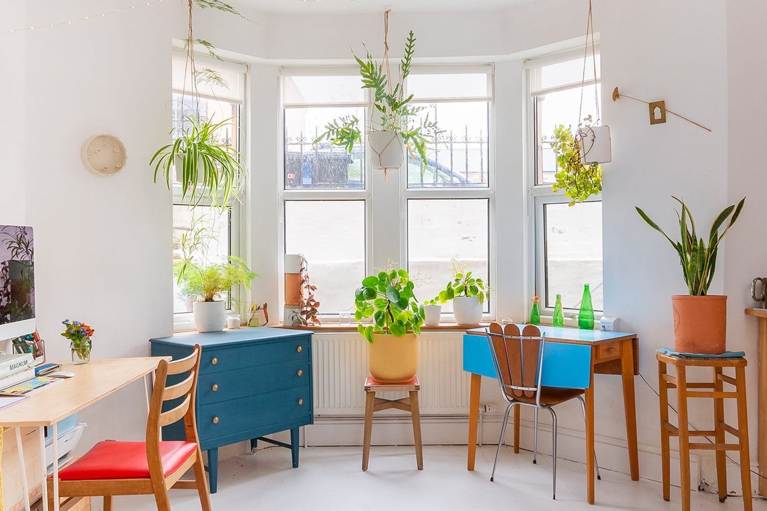 Seymour 5