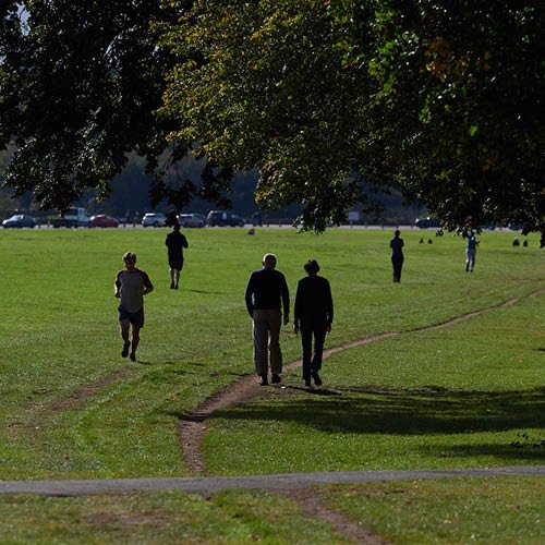 The Downs
